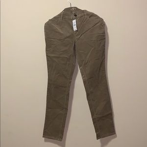 LOFT pants. Brand new!